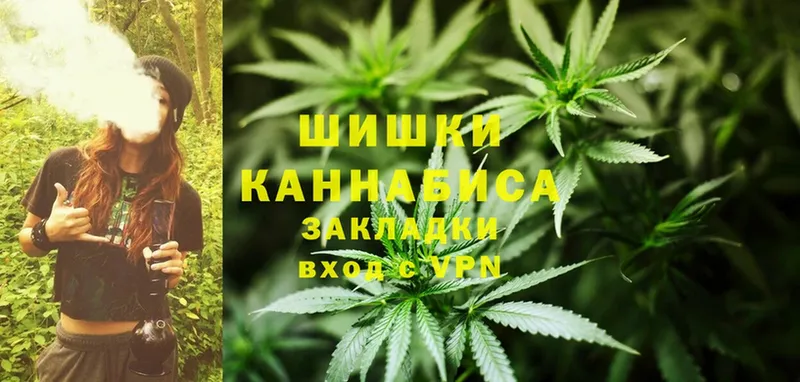 Бошки марихуана OG Kush  где купить наркотик  Боровичи 